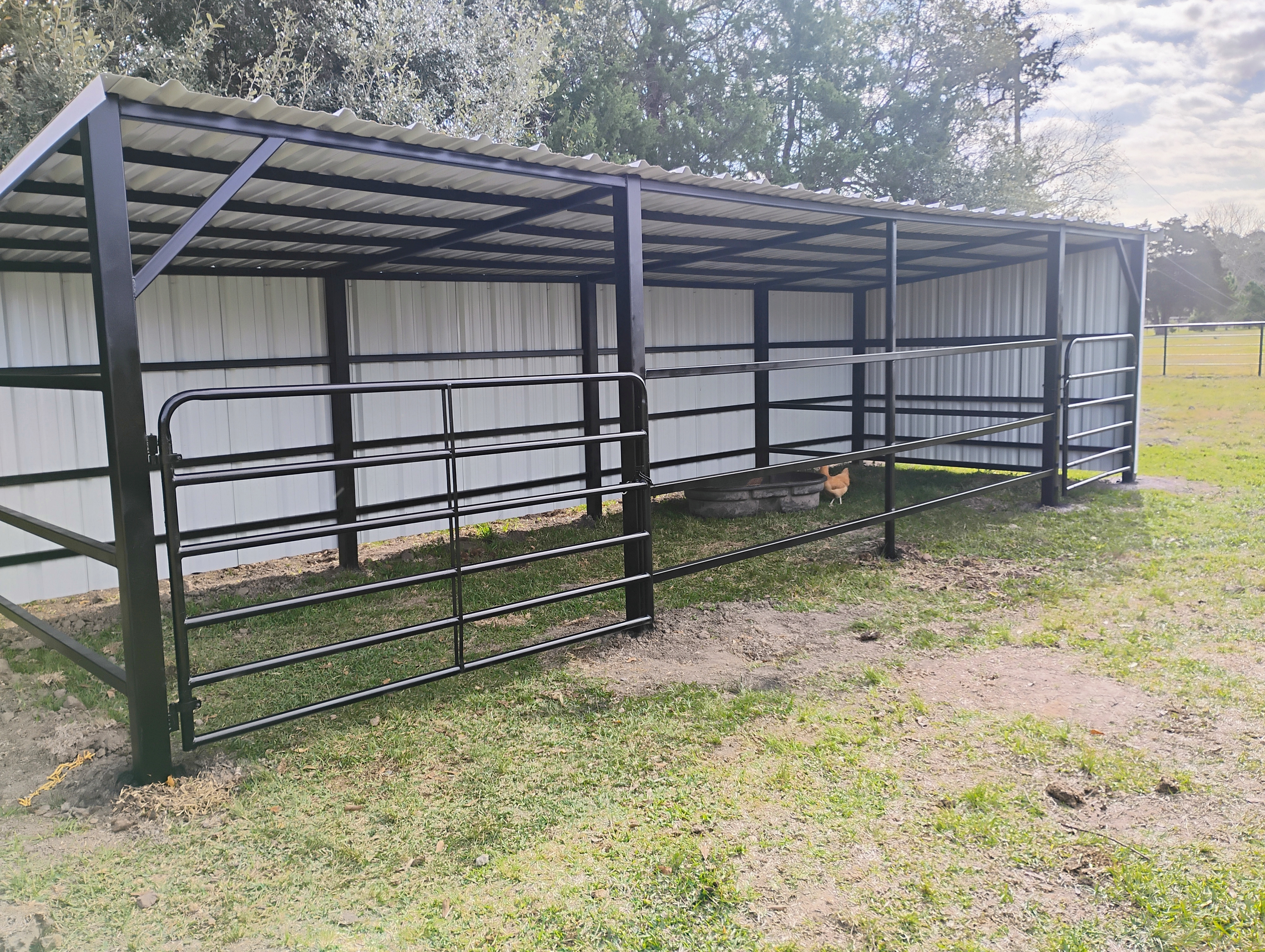 Livestock shelter with gates wide view